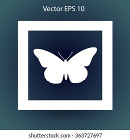butterfly framed vector illustration