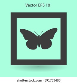 butterfly framed vector illustration