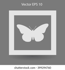 butterfly framed vector illustration