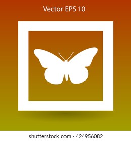 butterfly framed vector illustration