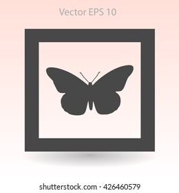 butterfly framed vector illustration