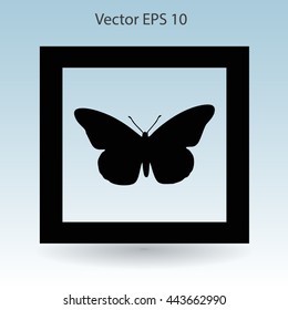 butterfly framed vector illustration