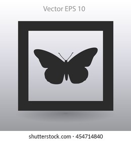 butterfly framed vector illustration