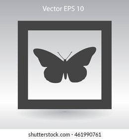 butterfly framed vector illustration