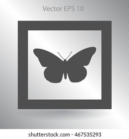 butterfly framed vector illustration