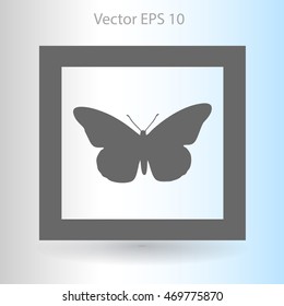 butterfly framed vector illustration