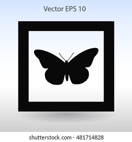 butterfly framed vector illustration