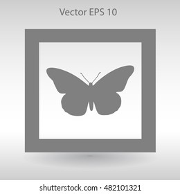 butterfly framed vector illustration