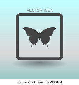 butterfly framed vector illustration