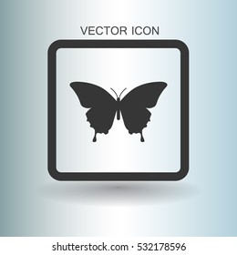 butterfly framed vector illustration