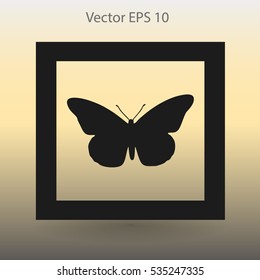 butterfly framed vector illustration