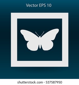 butterfly framed vector illustration