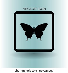 butterfly framed vector illustration
