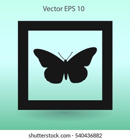 butterfly framed vector illustration