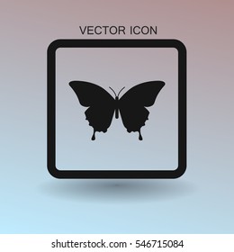 butterfly framed vector illustration