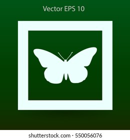 butterfly framed vector illustration