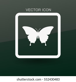 butterfly framed vector illustration