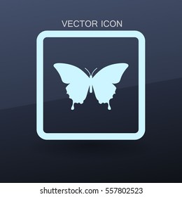 butterfly framed vector illustration