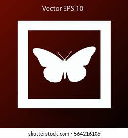butterfly framed vector illustration
