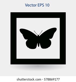 butterfly framed vector illustration