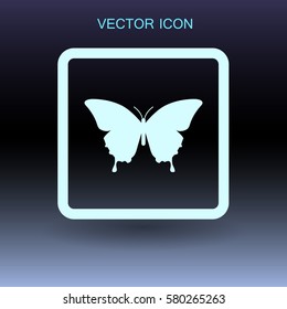 butterfly framed vector illustration