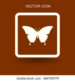 butterfly framed vector illustration
