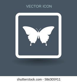 butterfly framed vector illustration