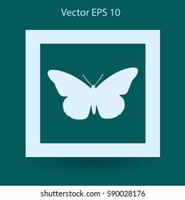 butterfly framed vector illustration