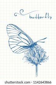 Butterfly gathers nectar on flower, Blue pen sketch on square grid notebook page, Hand drawn vector illustration