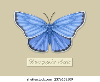 Butterfly glauscopsyche alexis concept. Colorful and bright insect with wings. Summer and spring season. Poster or banner. Cartoon flat vector illustration isolated on beige background