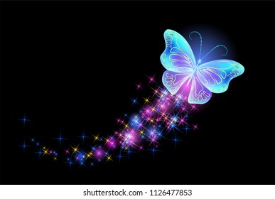 Butterfly with glowing firework and sparkle stars