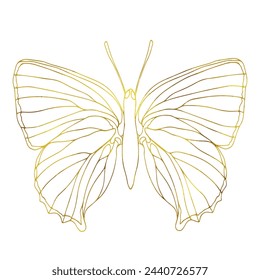 Butterfly golden foil art illustration. Insect butterfly for stickers, tattoo, silhouette, scrapbook. Winged gorgeous animal. Vector hand drawn illustration, isolate on white background.