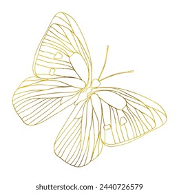 Butterfly golden foil art illustration. Insect butterfly for stickers, tattoo, silhouette, scrapbook. Winged gorgeous animal. Vector hand drawn illustration, isolate on white background.