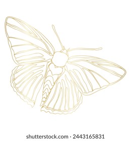 Butterfly golden foil art illustration. Insect butterfly for stickers, tattoo, silhouette, scrapbook. Winged summer animal. Vector hand drawn illustration, isolate on white background