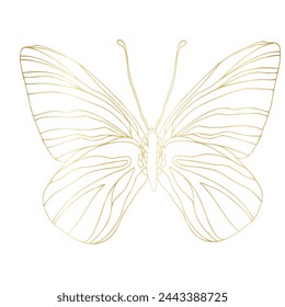 Butterfly golden foil art illustration. Insect butterfly for stickers, tattoo, silhouette, scrapbook. Winged summer animal. Vector hand drawn illustration, isolate on white background.