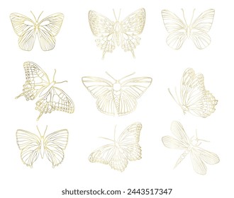 Butterfly golden foil art illustration set. Insect butterfly for stickers, tattoo, silhouette, scrapbook. Winged summer animal. Vector hand drawn illustration, isolate on white background.