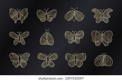 Butterfly golden linear element. Ornate decorative design. Collection of individual insects decor.