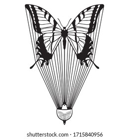 diseño gráfico mariposa ilustración vectorial, boceto artístico, icono, símbolo de viaje, patrón de fondo, idea con alas, uso en impresión