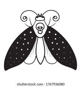 Butterfly graphic design vector illustration, icon, art tattoo sketch, background pattern, hand draw, use in print