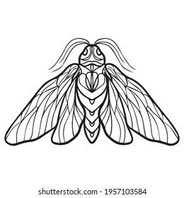 butterfly graphic design vector illustration, icon, art tattoo sketch, hand draw, use in print