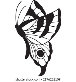 butterfly graphic design vector illustration, art tattoo sketch, hand draw, print use