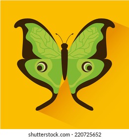 butterfly graphic design , vector illustration