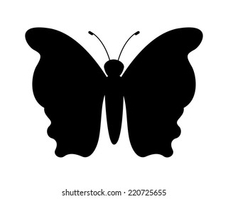 butterfly graphic design , vector illustration butterfly graphic design , vector illustration