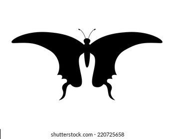 butterfly graphic design , vector illustration
