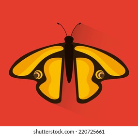 butterfly graphic design , vector illustration butterfly graphic design , vector illustration