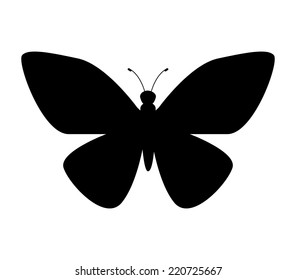 butterfly graphic design , vector illustration