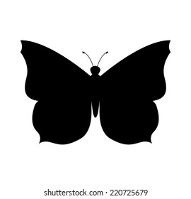 butterfly graphic design , vector illustration