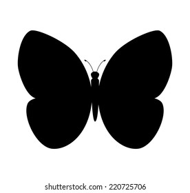 butterfly graphic design , vector illustration