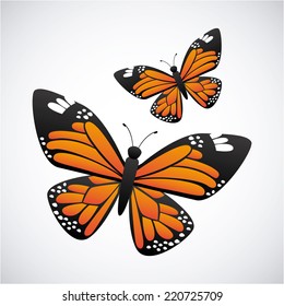 butterfly graphic design , vector illustration