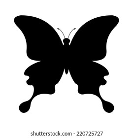 butterfly graphic design , vector illustration